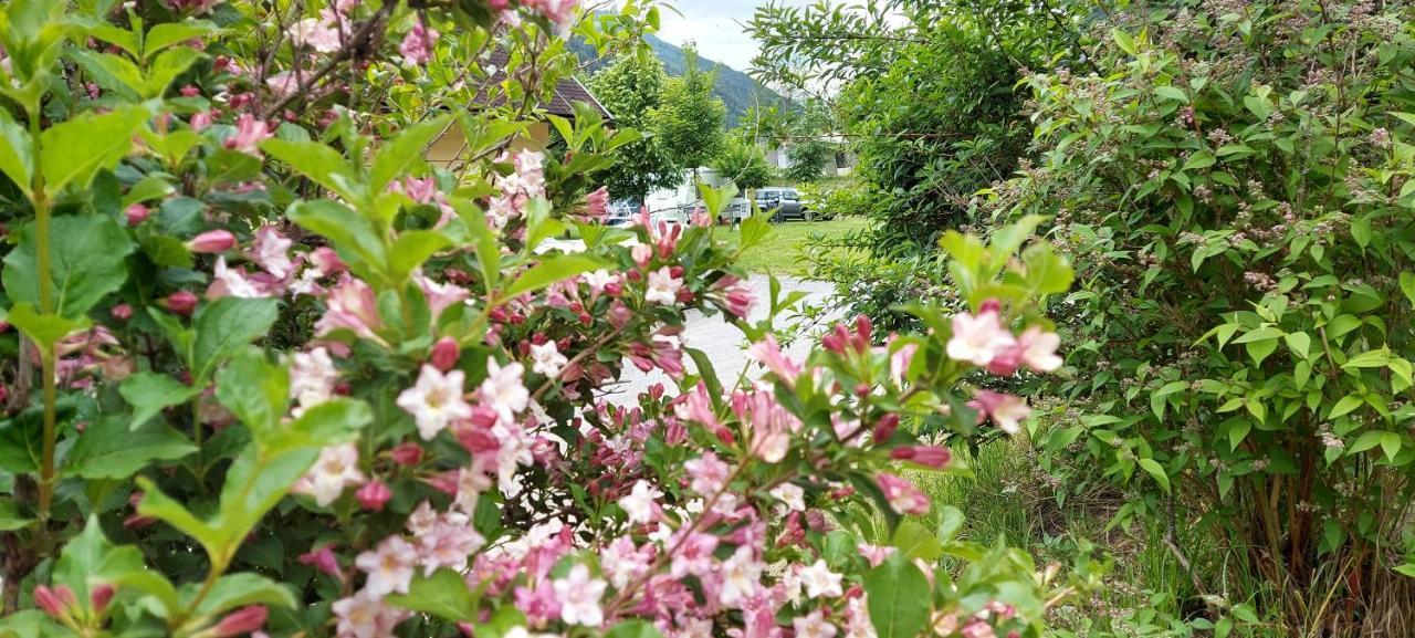Camping Bella Austria Sankt Peter am Kammersberg Eksteriør billede