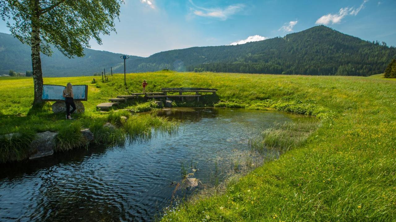 Camping Bella Austria Sankt Peter am Kammersberg Eksteriør billede