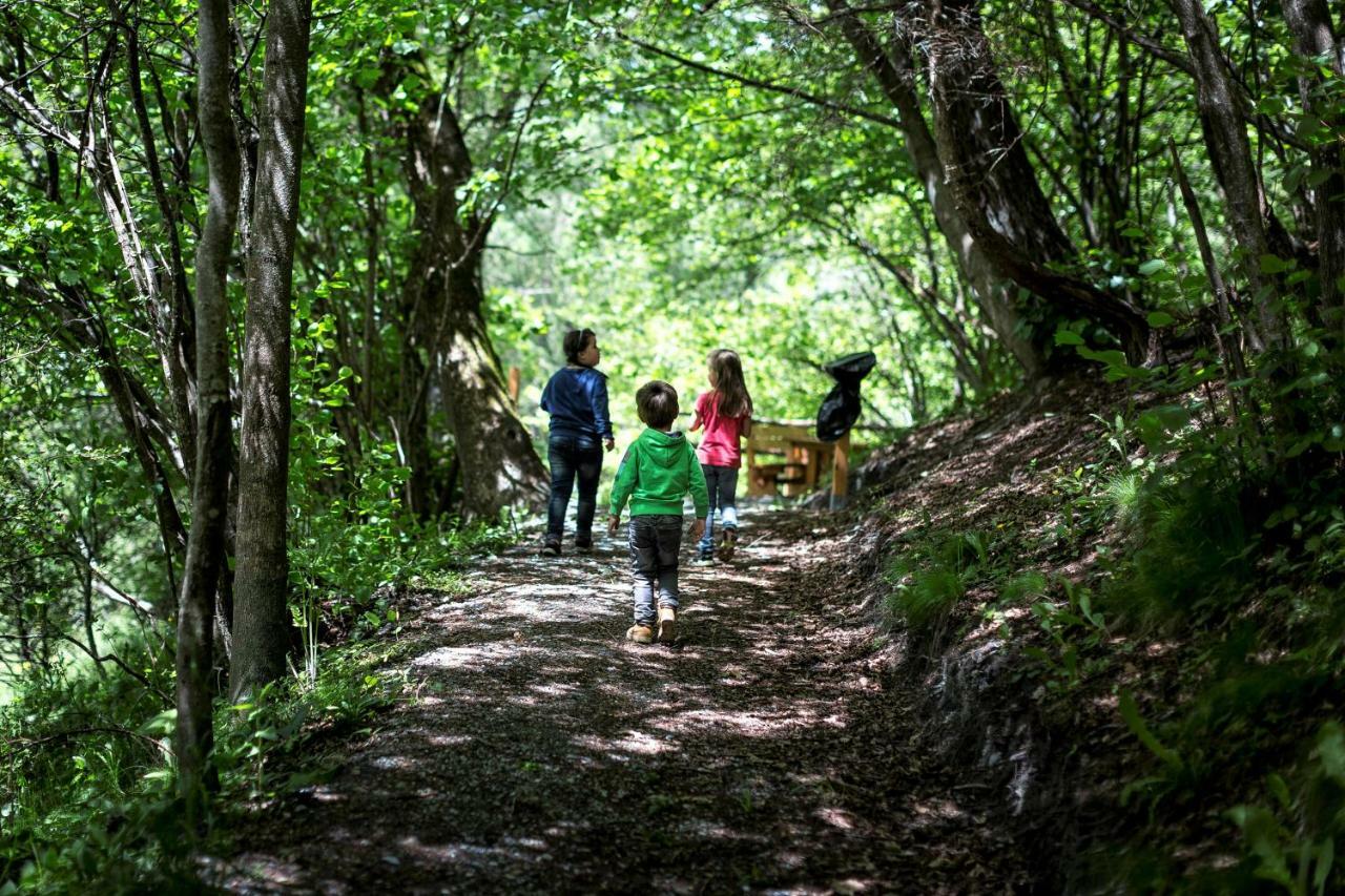 Camping Bella Austria Sankt Peter am Kammersberg Eksteriør billede